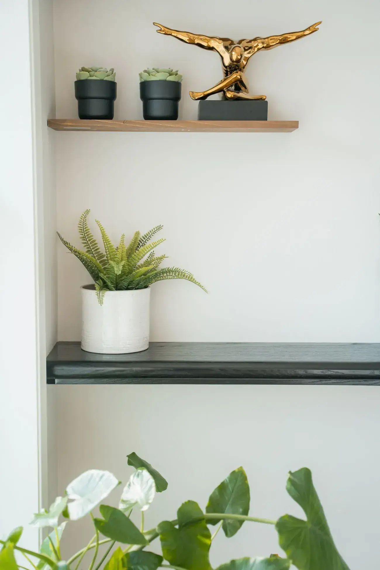 A shelf with a fern and ceramic pots in a quiet treatment room at Renu